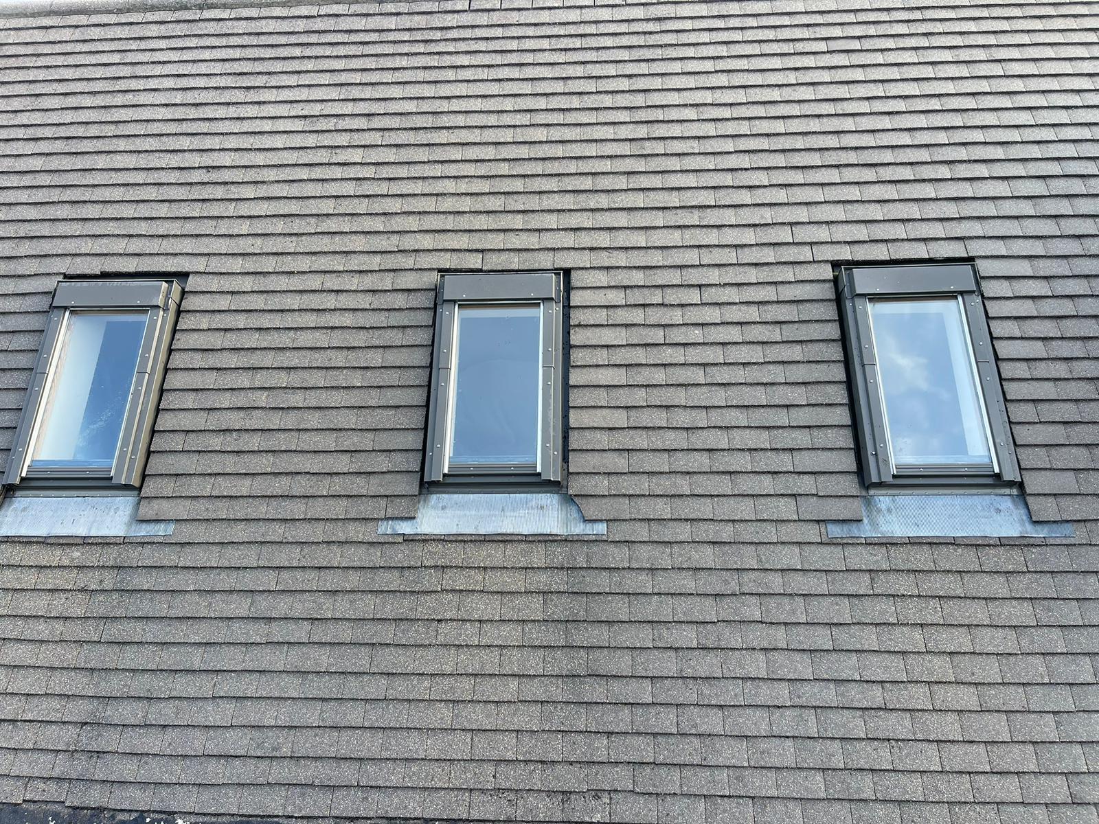 clean black roof tiles after a roof clean