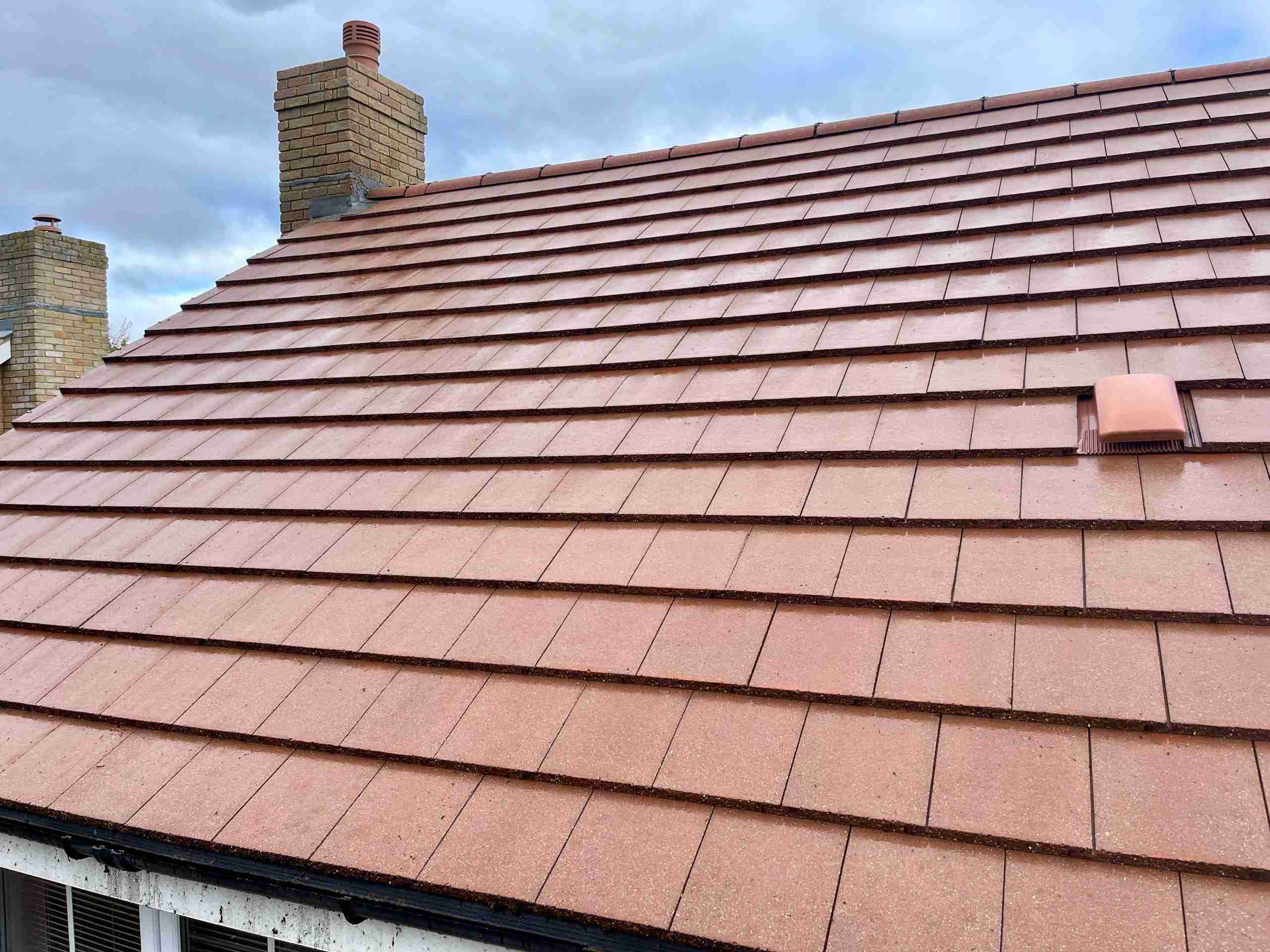 roof cleaning Bury St Edmunds