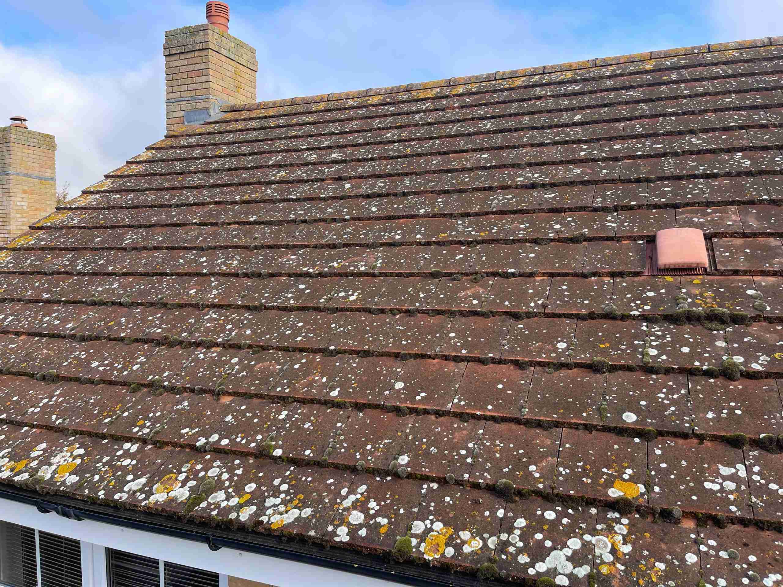 roof cleaning Bury St Edmunds
