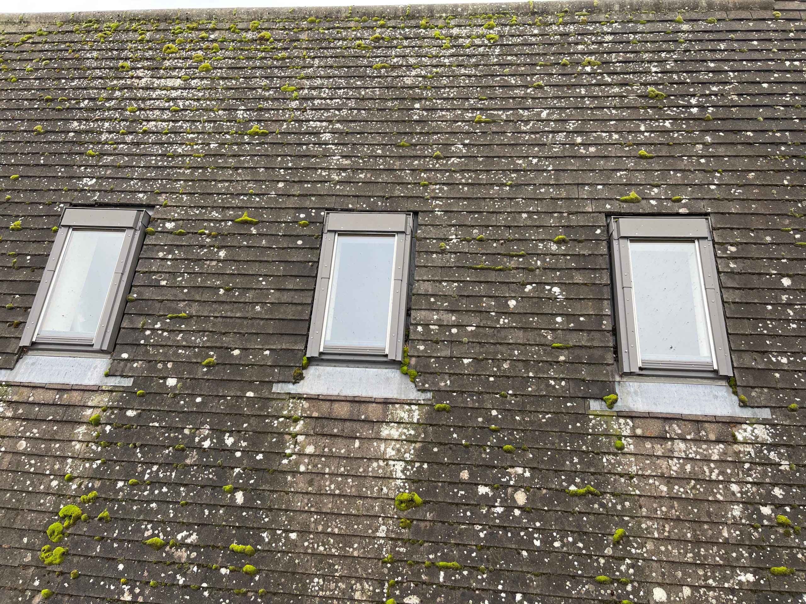 dirty black roof tiles