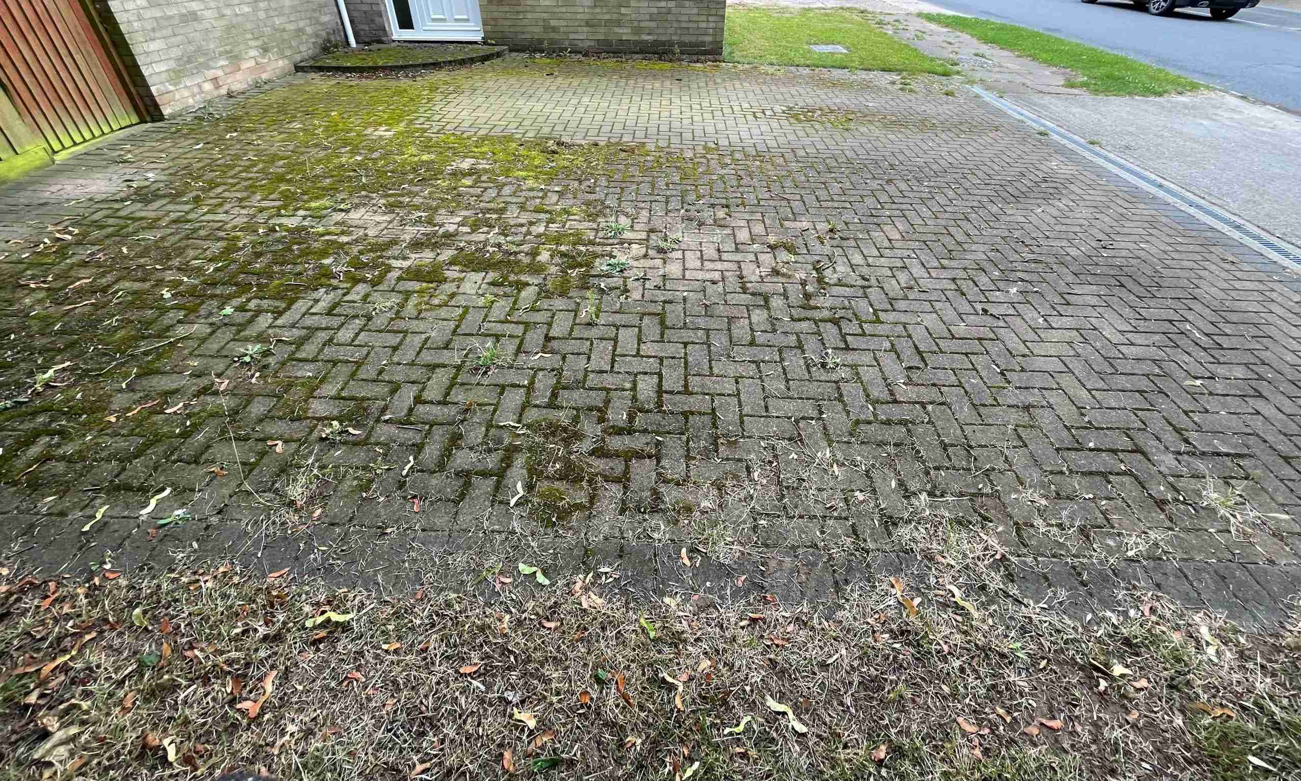 Mossy driveway in Bury St Edmunds