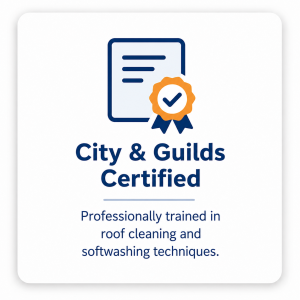 city-and-guilds-roof-cleaning-trained