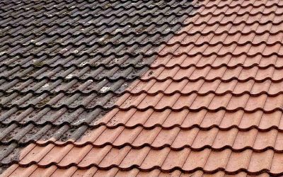 Roof cleaning in progress in Newmarket