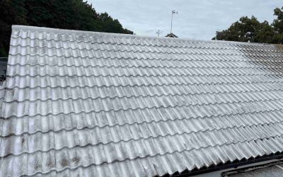 Biocide treatment being applied to cleaned roof tiles in Cambridge