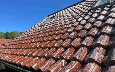 Roof biocide application in Newmarket