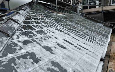 roof-biocide-application-bury-st-edmunds
