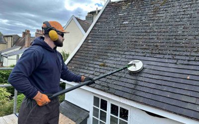 Applying a biocide treatment to a roof in Bury St Edmunds
